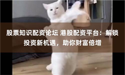 股票知识配资论坛 港股配资平台：解锁投资新机遇，助你财富倍增