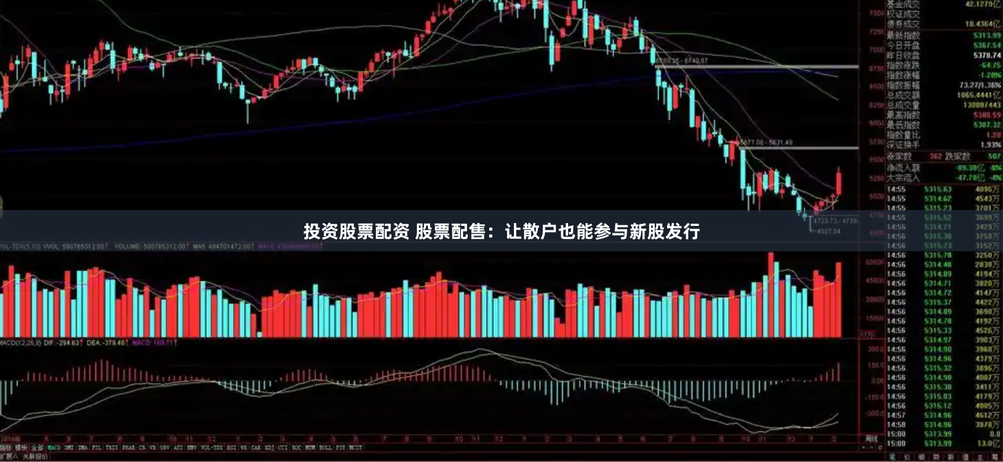 投资股票配资 股票配售：让散户也能参与新股发行